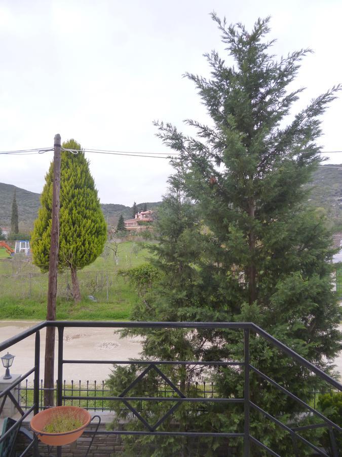 Dream House Apartman Nea Iraklitsa Kültér fotó
